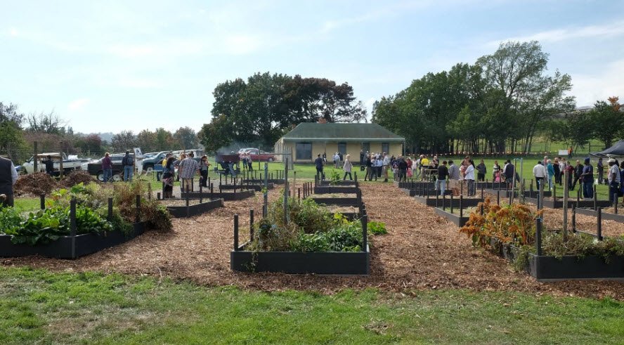 Heritage Forest, Australia